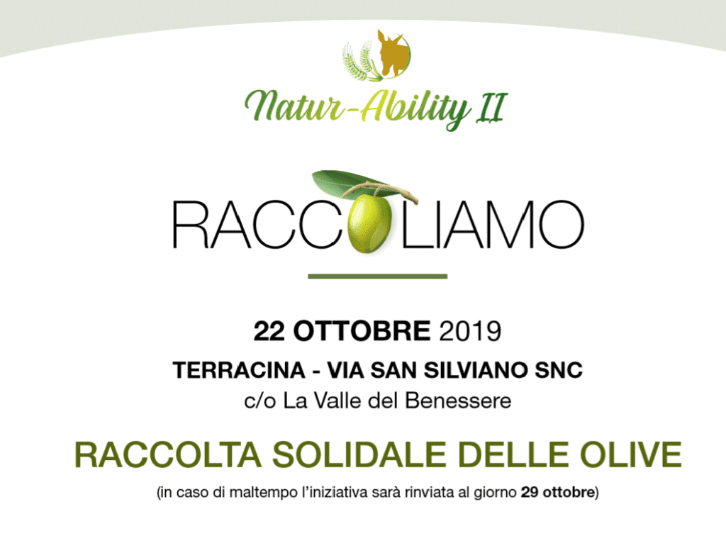 Raccoliamo: raccolta solidale delle olive con i ragazzi di Natur-Ability II